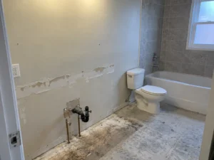 Bathroom tile and fixtures during removal